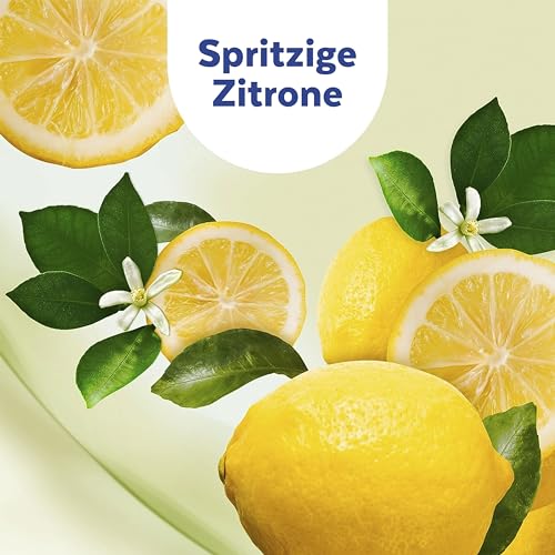 Sagrotan Bodenreinigungstücher – Zur Reinigung und Desinfektion für Böden – 15 x 10 feuchte Reinigungstücher – Bild 8