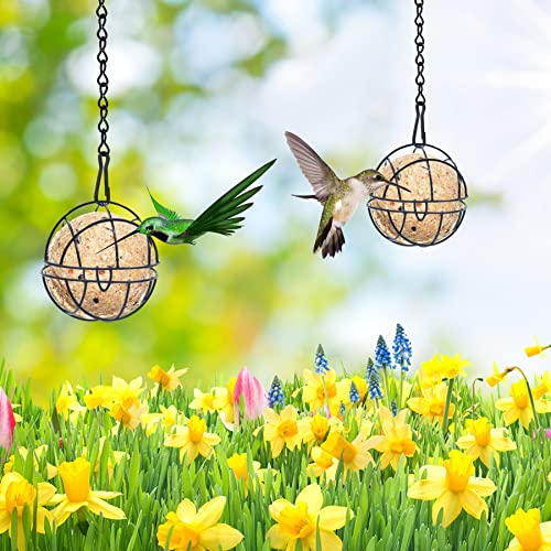 Mangiatoia per Uccelli,4 pezzi Mangime per