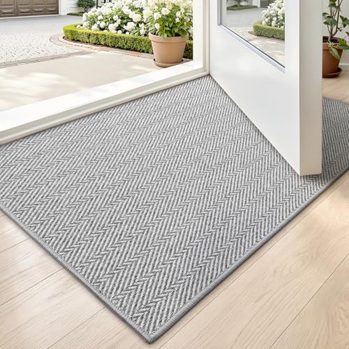 LUMI Ultra Thin Indoor Door Mat for Entrance 17'x...