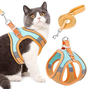 Eyein Cat Harness and Lead Set for Walking, Adjustable Soft Sturdy Faux Suede Escape Proof Kitten Vest Harness and leash with Reflective Strip for Large Medium Small Cats(Green & Orang, M)