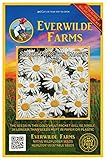 Everwilde Farms - 2000 Silver Princess Shasta Daisy Wildflower Seeds - Gold Vault Jumbo Seed Packet