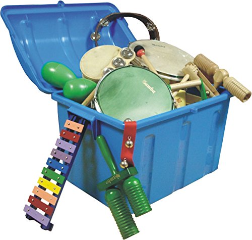 Kit Pequeña Percusion Lote 40 instrumentos (baúl incluido)