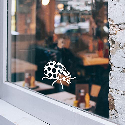 Image of WIRESTER 6 inch Clear Vinyl Decal Sticker Decoration for Car Window (Or Any Flat Surface) - Bug