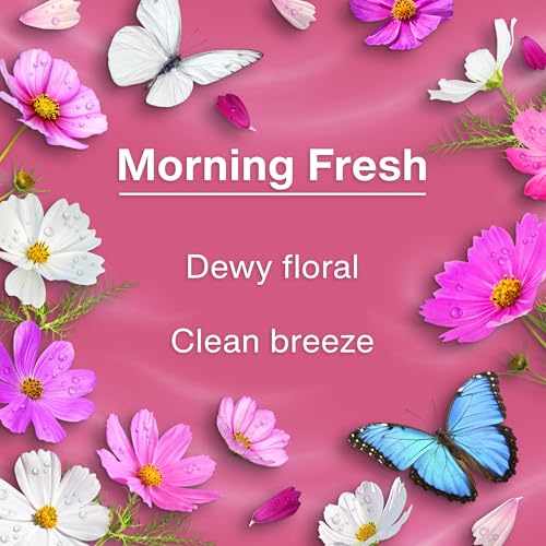 Image of LITTLE TREES Car Air Freshener | Hanging Tree Provides Long Lasting Scent for Auto and Home | 24 Air Fresheners |Morning Fresh