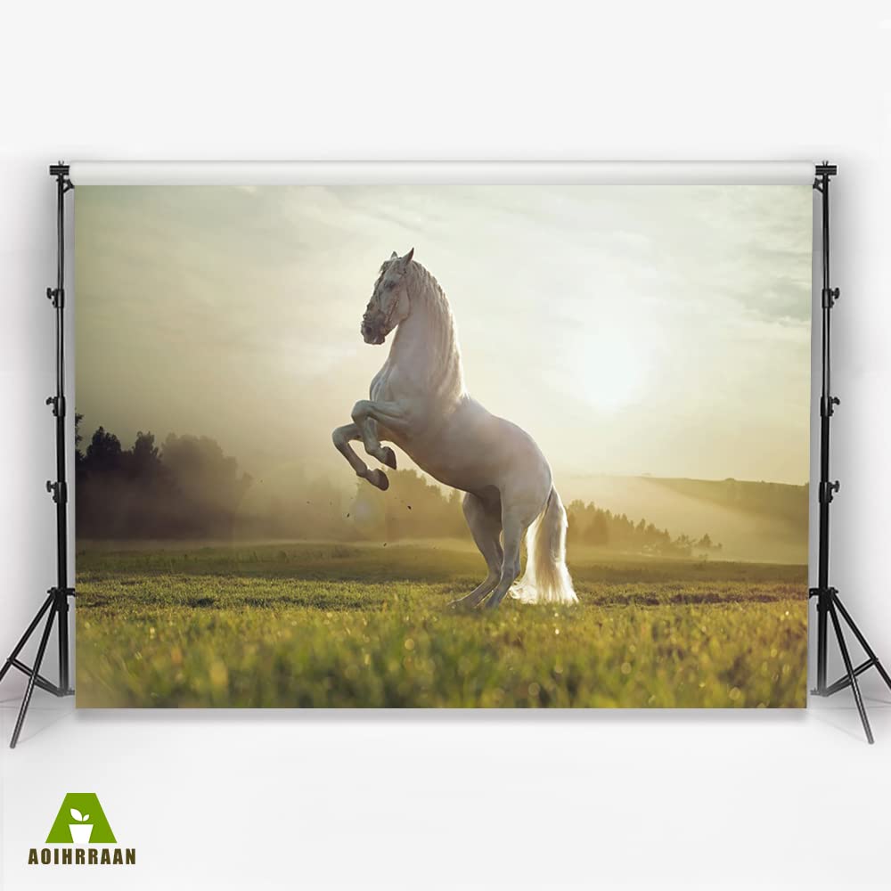 Sfondo Fotografico Western 2,2x1,5m - Tema Cowboy Selvaggio West - Foto 5