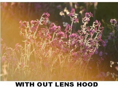 Miniatura 3 de PLR Optics - Parasol para videocámaras digitales Canon VIXIA HF G20, G30, XA25, XA20 (2.283 in)