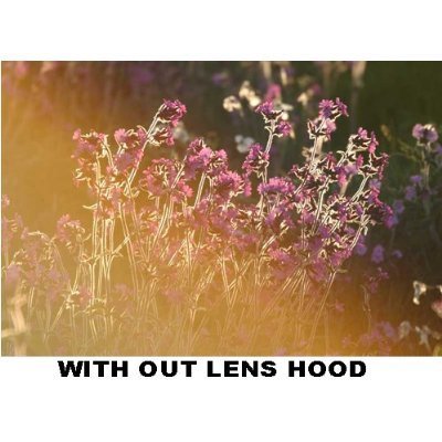 PLR Optics 58MM Lens Hood For The Olympus Evolt E-30, E-300, E-330, E-410, E-420, E-450, E-500, E-510, E-520, E-600, E-620, E-1, E-3, E-5 Digital SLR Cameras Which Have Any Of These (14-42mm, 40-150mm, 70-300mm) Olympus Lenses - Thumbnail 3