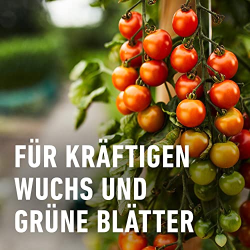 Compo Ortiva® Spezial Pilz-frei 20 ml