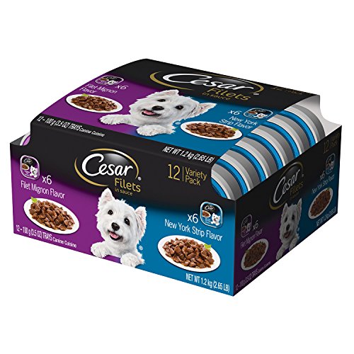 Cesar Filets in Gravy Adult Wet Dog Food Variety Pack, Filet Mignon and New York Strip Flavors, 3.5 oz. Easy Peel Dog Food Tray, 12 Count (Pack of 1)