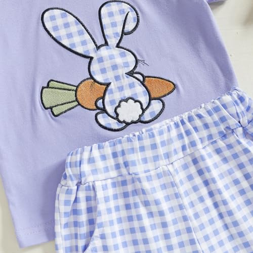 Image of Toddler Baby Boy Easter Rabbit Outfit Short Sleeve Bunny Carrot Smocked T-shirt Elastic Waist Shorts Summer Clothes