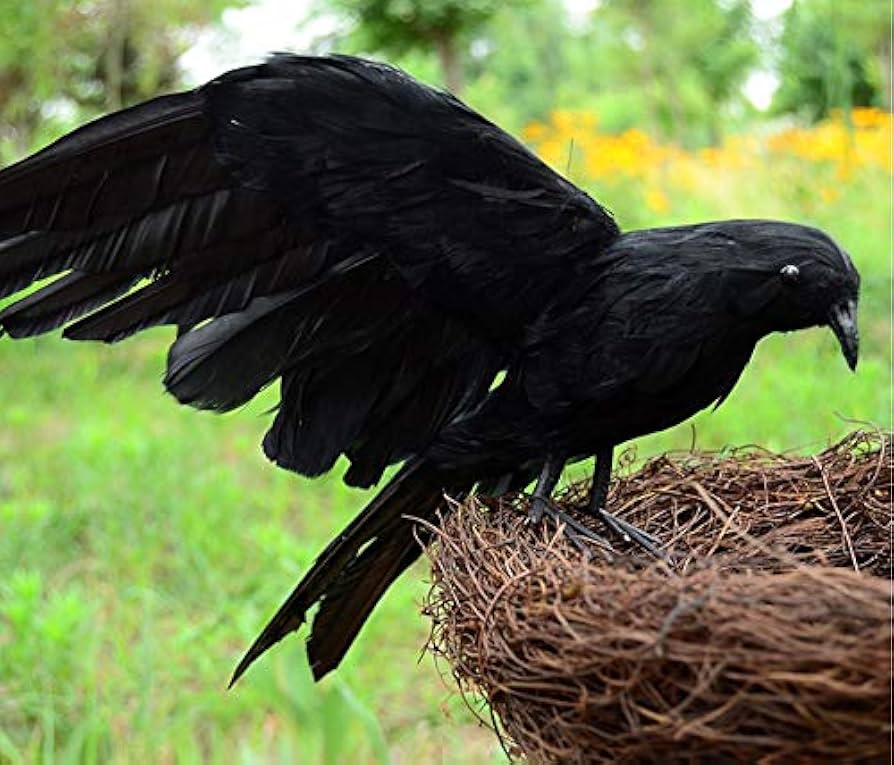 Amazon.co.jp: Felizly カラス オブジェ バード 置物 鳥よけ