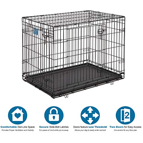 Dog Crate | MidWest Life Stages 36" Double Door Folding Metal Dog Crate | Divider Panel, Floor Protecting Feet, Leak-Proof Dog Pan | 36L x 23W x 25H Inches, Intermediate Dog Breed - Image 2