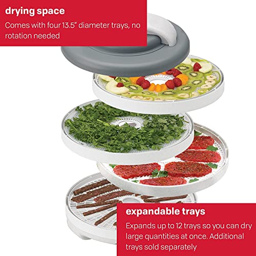 Image of Nesco FD-60 Snackmaster Express Food Dehydrator + Nesco LT-2SG Snackmaster Add-a-Tray, Set of 2