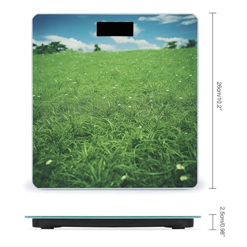 Báscula Digital de Baño Green Lawn Peso Corporal Precisa 400lb miniatura 2