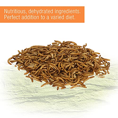Zilla Reptile Food Munchies Mealworms For Pet Bearded Dragons, Leopard Geckos, Chameleons, Large Tropical Fish & Birds, 3.75-Ounce #TOP6