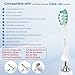 SuitShine Replacement Toothbrush Heads Compatible with Philips Sonicare and More Click-on Handles 8 Pack White