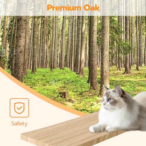 Estante de pared para gatos HOOBRO moderno set 5 piezas miniatura 4
