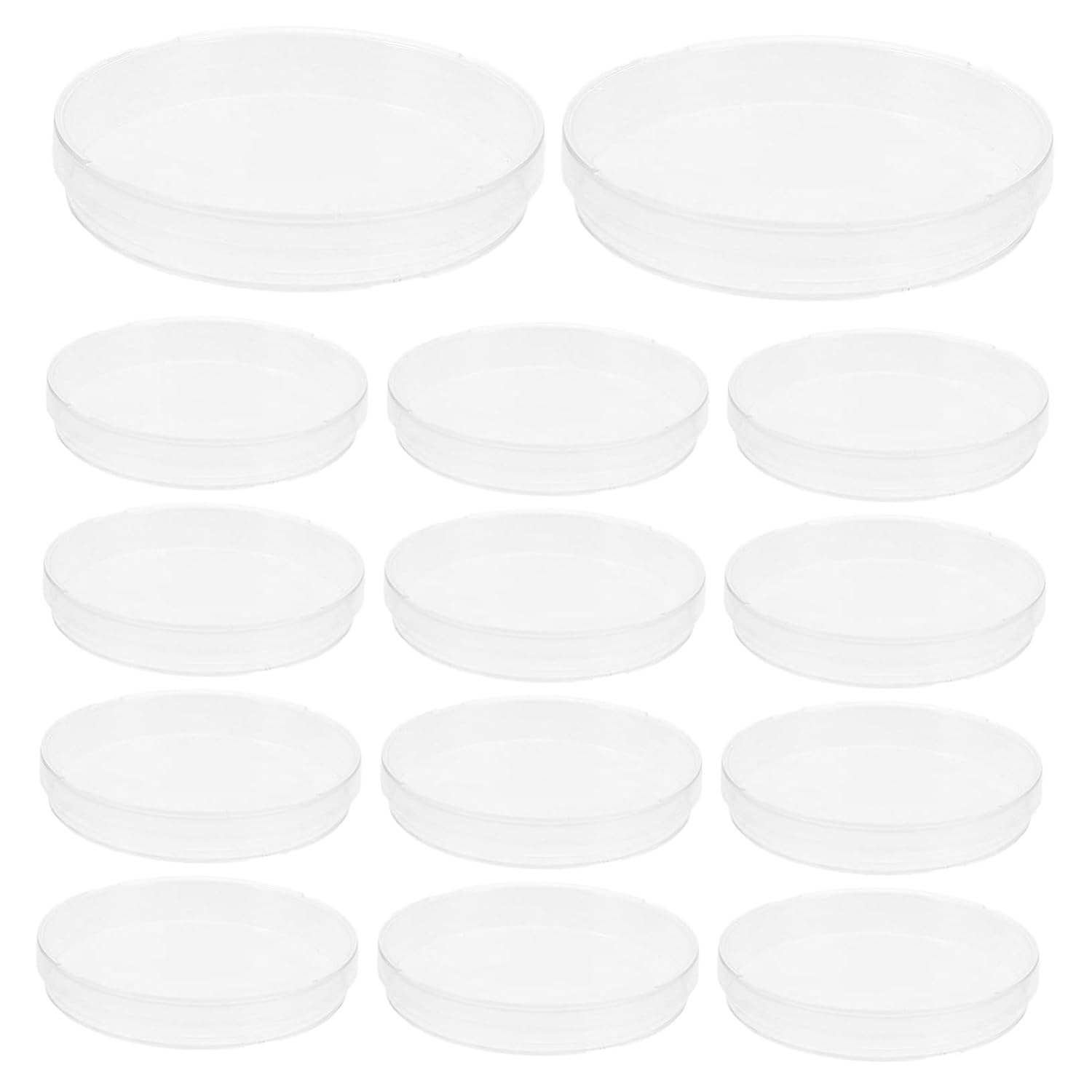 20pcs Clear Culture Dishes with Lids for Lab Experiments Cell Tissue Petri Dishes for Research for Culturing and Scientific Studies