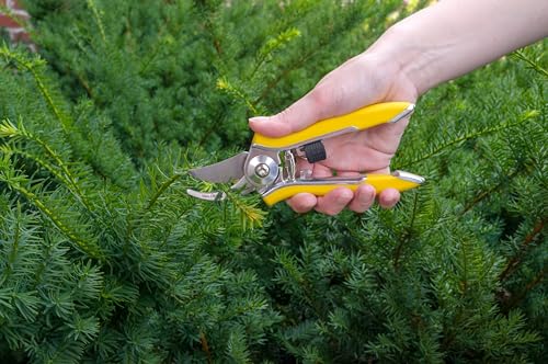 Dramm 18011 Stainless Steel Compact Pruner, 1 EA, Red - Thumbnail 7