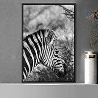 Framed Canvas Wall Art Duotone Zebra Animals Black and White Chic Duotone Expressive Grey Living Room Photography Zebra - 16x24 inches