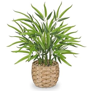 Künstlicher Bambus Kunstpflanzen 49 cm Künstliche Pflanzen Bambus Deko Kunstpflanze im Weidenkorb Dekopflanze für Boho Deko Tisch Regal in Küche im Wohnzimmer Schlafzimmer