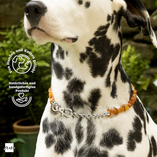 Amberta Bernstein Halsband für Hunde und Katzen | Bernsteinkette für Hunde | 25-30 cm
