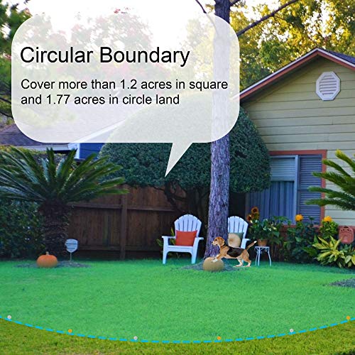 The 25 Best Wireless Electric Dog Fences of 2024 [Verified] Cherry Picks