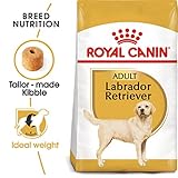 Royal Canin Labrador Retriever 30, 1er Pack (1 x 3 kg Beutel)