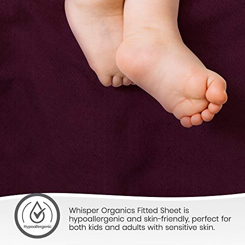 Whisper Organics, 100% Organic Flannel Bed Sheets - Pure Cotton Bedsheet Queen Size, Fitted Sheet Only - 170 Gram Ultra-Comfortable Bedsheets - Gots Certified Bedding Sheets, 60 X 80 Inch, Aubergine #TOP3