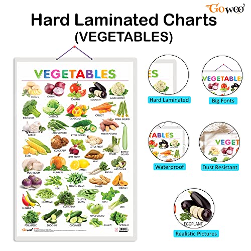 Image of GO WOO Combo of 2 Alphabet and Vegetables Educational Posters for Preschool Kids Classroom Study | Learning- Charts for Kids Learning (20 inchX30 inch Inches)