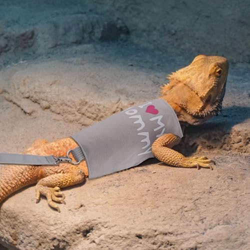 Image of Bearded Dragon Leash and Harness Set, Cute Adjustable Lizard Reptile Harness Costume Clothes with Short Leash for Small Pets Animal Amphibians Chameleons Accessories Outdoor Walking (Style A, Gray)