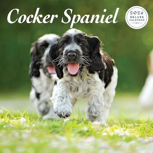 Cocker Spaniel 2026 Deluxe Calendar