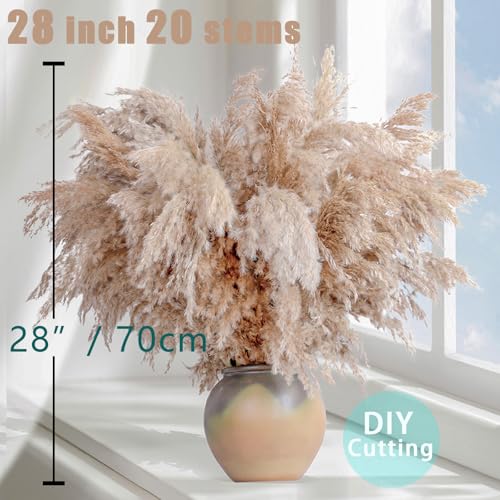 Image of 20 Stems 28 inch Large Brown Pampas Grass - Natural Fluffy Pompas Grass Bulk for Floor Vase - Boho Decor Home Wedding Event Decor, Gift