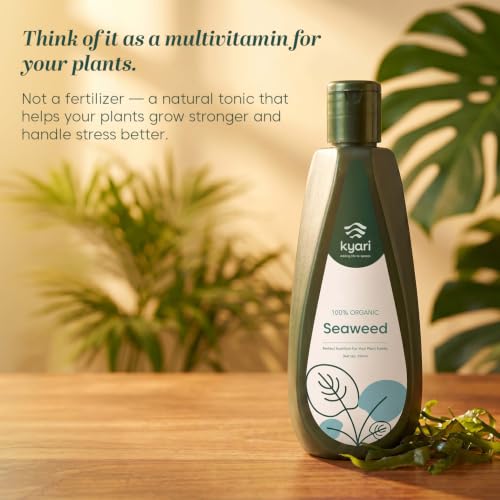 Image of Kyari Seaweed Extract Liquid Fertilizer 250 ml - Organic Plant Growth Booster for Home Garden, Indoor & Outdoor Plants, Potted Plants - Seaweed Plant Food - 100% Natural for Plant Parents