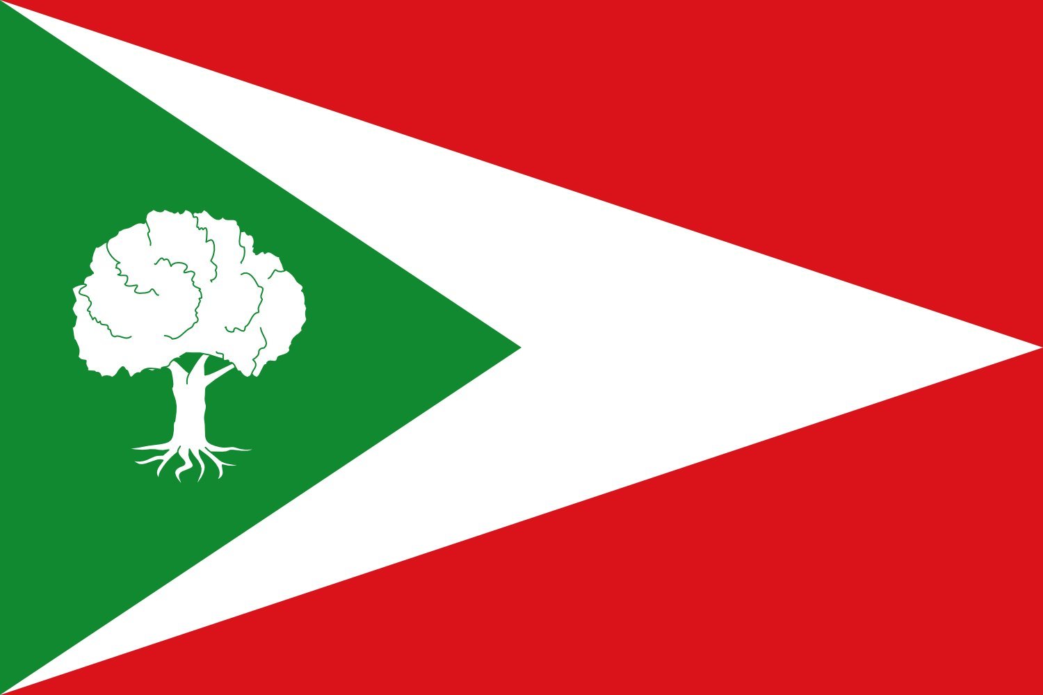 Drapeau Tosantos grand format Castilla y León pavillon municipal pour mât extérieur