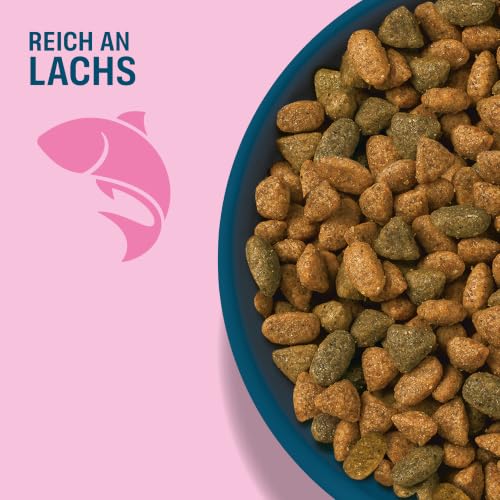 PERFECT FIT™ Katze Beutel Adult 1+ mit Lachs 3x2,8kg – Ansicht 4