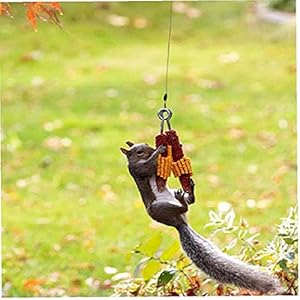 Venster Vogelvoeder, Bos Eekhoorn Feeder, Eekhoorn Spring Jumping Feeder, Bungee Jumping Eekhoorn Feeding Spring Metal…