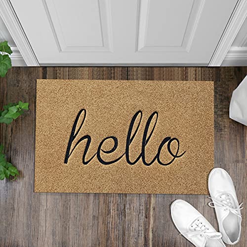 AOAOPQ Hello Zerbino Welcome Mat Outdoor Indoor