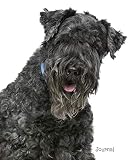 Journal: Kerry Blue Terrier Notebook