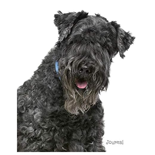 Journal: Kerry Blue Terrier Notebook