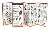 Earth Sky + Water FoldingGuide™ - Sibley’s Raptors of Western North America - 10 Panel Foldable Laminated Nature Identification Guide