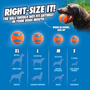 Chuckitdogballsinteractivedogtoyshighbouncefetchballfloatingultraandruggedballsdurablesizemedium25inchdiametersetof3 Urban Country Home Decor Chuckit dog balls interactive dog toys high bounce fetch ball floating ultra and rugged balls durable size medium 25 inch diameter set of 3 urban country home decor