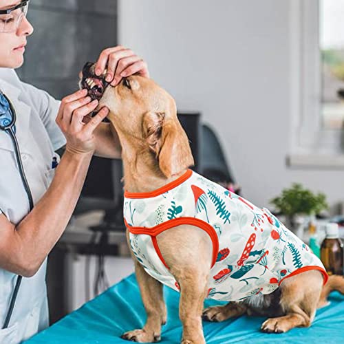 Vestito Recupero Cani, Tuta da Guarigione Cuccioli...