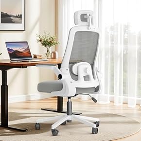 オフィスチェア デスクチェア 人間工学 テレワーク チェア 疲れない ホワイト 楽天市場】【旧版だから安い!】オフィスチェア デスクチェア