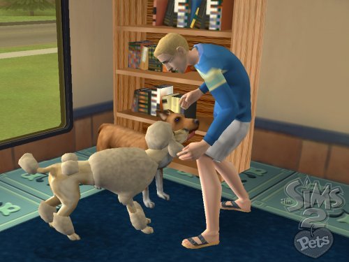 The Sims 2 Pets - Nintendo Wii (Renewed)