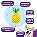 Outward Hound Planet Dog Dental Ananas Dental Chew Toy and Interactive Treat Stuffer Durable Dog Toy Stuffable Dog Toy, Yellow
