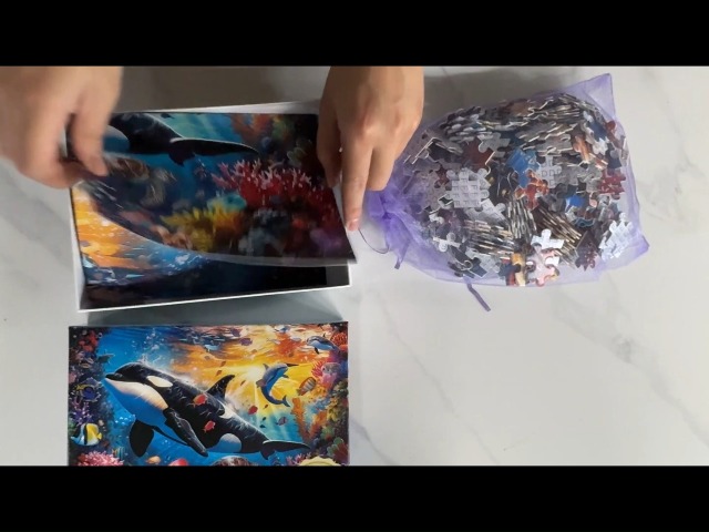 Amazon.com: 300 Piece Puzzles for Adults and Kids, Jigsaw Puzzle