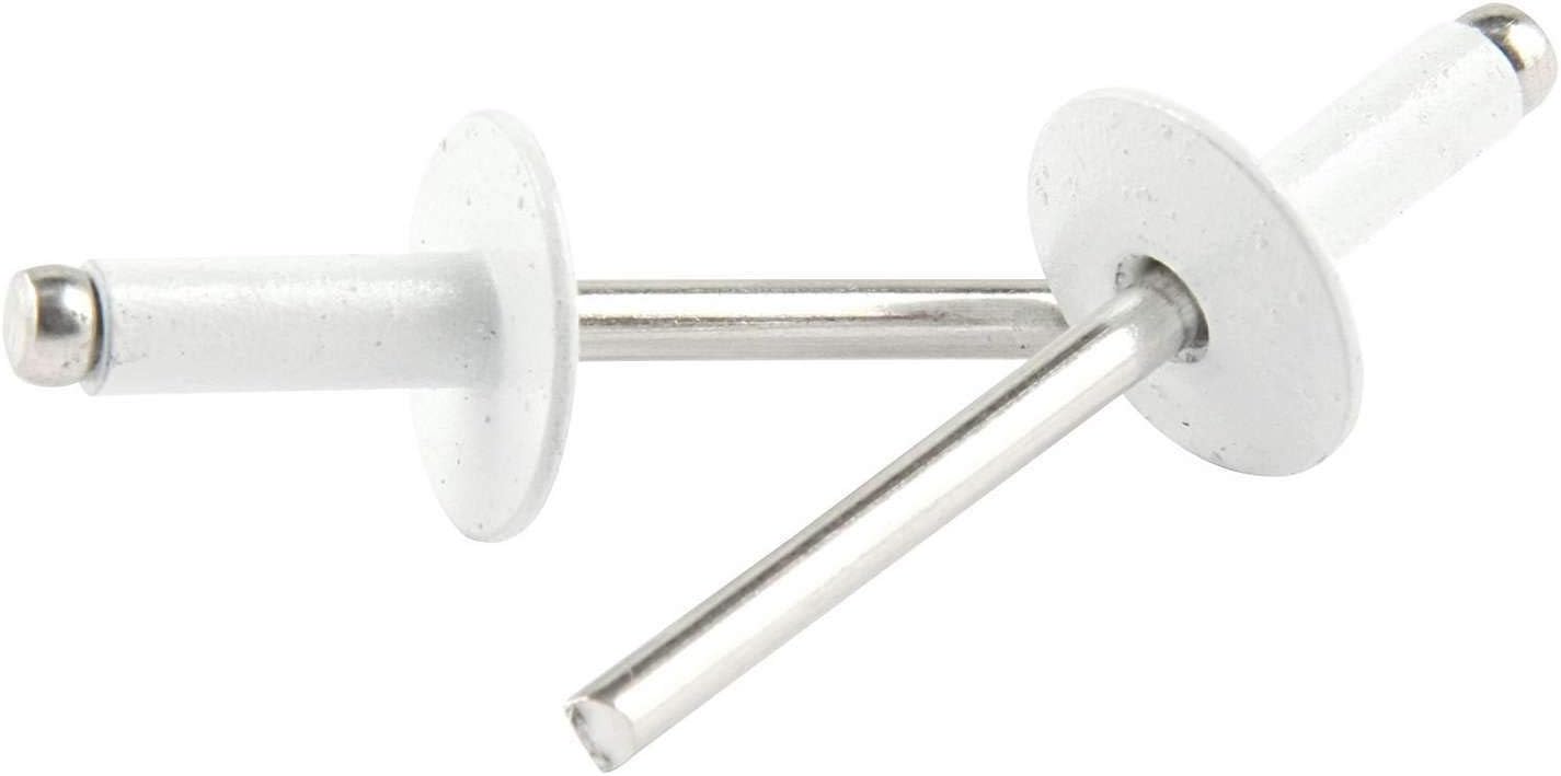 Allstar Performance ALL18158 Large Head Rivet, Steel, White, Pack of 250