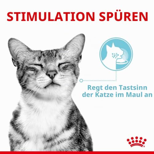 ROYAL CANIN Sensory Feel Wet Cat Food Chunks in Sauce 12 x 85 g – Ansicht 3