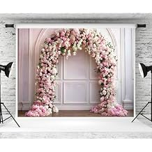 Kate 75ft Pink Spring Gypsum Line Wall Photo Backdrop Indoor Empty Room Flower Arch Photography Background Wedding Studio Prop Photo Video
